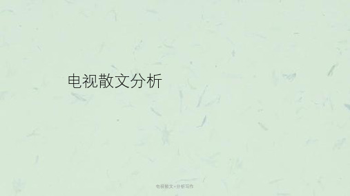电视散文+分析写作课件