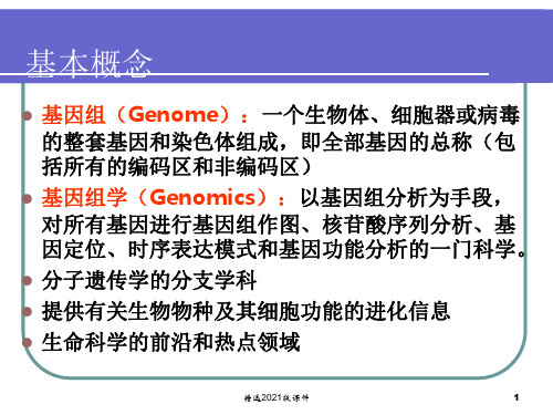 基因组学  2.遗传作图 3 物理图