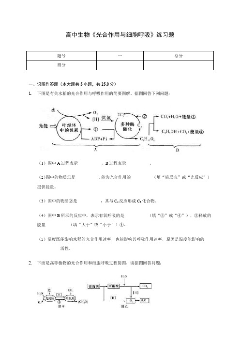 高中生物《光合作用与细胞呼吸》练习题(含答案解析)