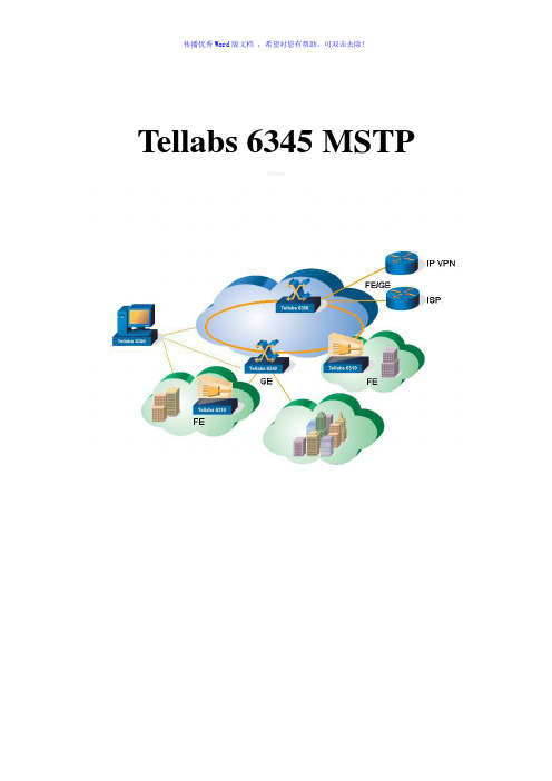 Tellabs6345中文Word版