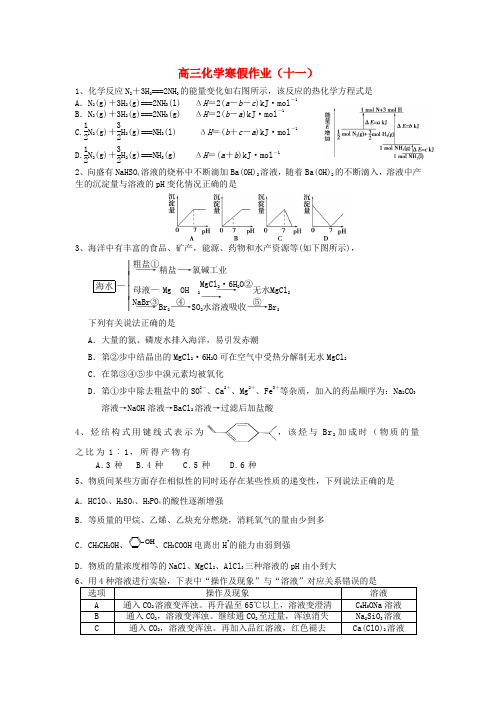 江苏省淮阴中学高三化学寒假作业(十一)【会员独享】