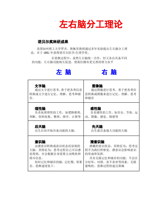 左右脑分工理论