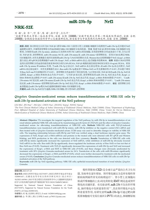 清肾颗粒含药血清通过miR-23b-5p靶向Nrf2通路减轻NRK-52E细胞转分化