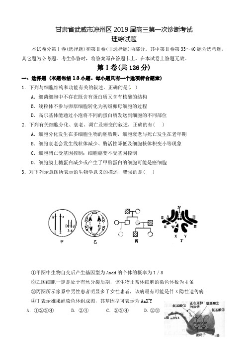 甘肃省武威市凉州区2019届高三第一次诊断考试理综试题