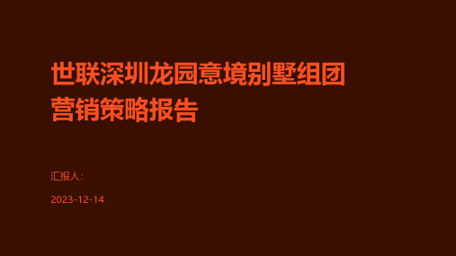 世联深圳龙园意境别墅组团营销策略报告