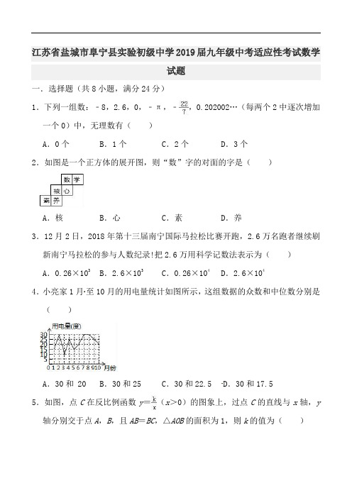 江苏省盐城市阜宁县实验初级中学2019届九年级中考适应性考试数学试题(一)(有解析)