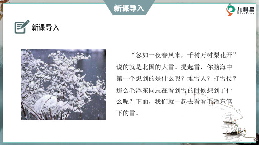 初中语文九年级上册《沁园春 雪》优秀PPT课件10