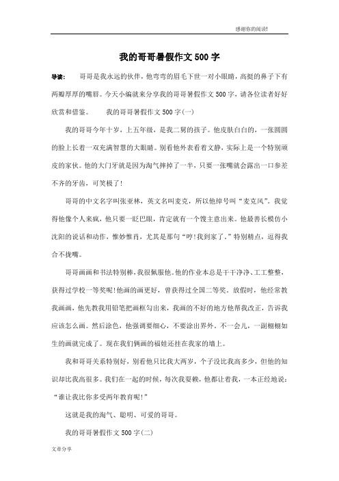 我的哥哥暑假作文500字