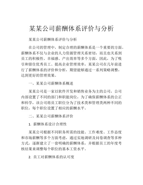 某某公司薪酬体系评价与分析