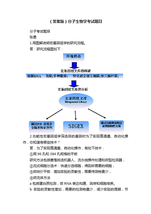 （答案版）分子生物学考试题目