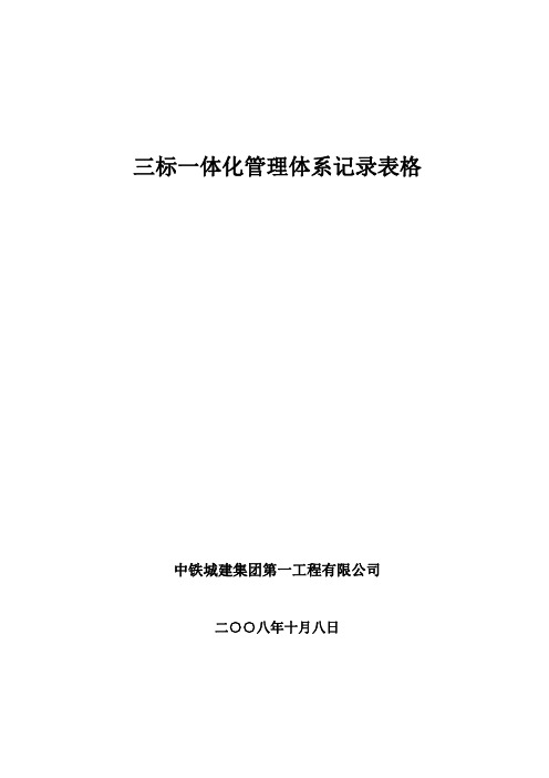 3三标一体化体系记录表格