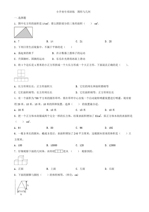 人教版六年级下册数学  小升初专项练习  图形与几何