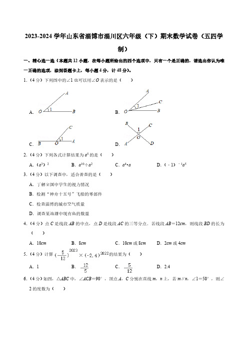 2023-2024学年山东省淄博市淄川区六年级(下)期末数学试卷(五四学制)(含答案)