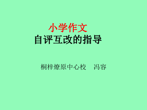 作文自评互改的指导 课件