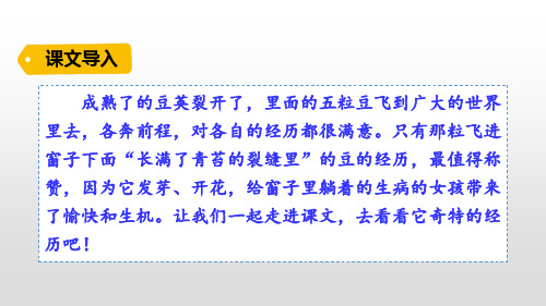 人教部编四年级语文上册 5.一个豆荚里的五粒豆