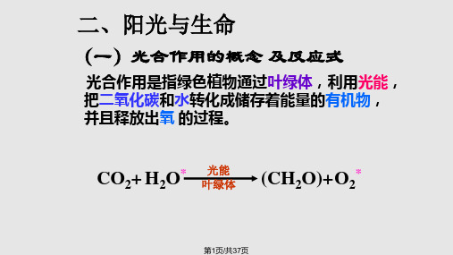 新陈代谢 演示文稿PPT课件