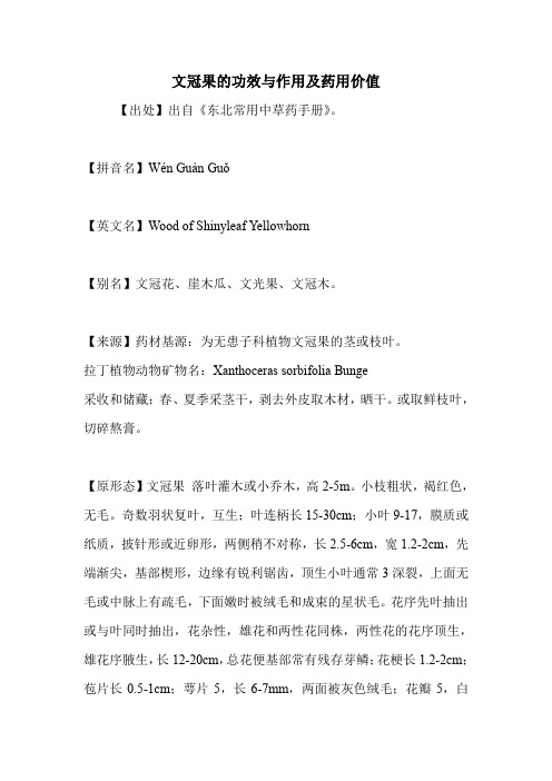 文冠果的功效与作用及药用价值