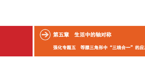 第5章 强化专题五 等腰三角形中“三线合一”的应用