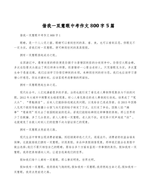 借我一双慧眼中考作文800字5篇