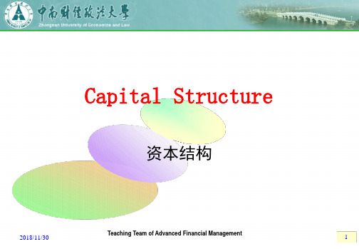 资本结构Capital Structure