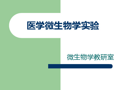 微生物实验内容汇总ppt课件