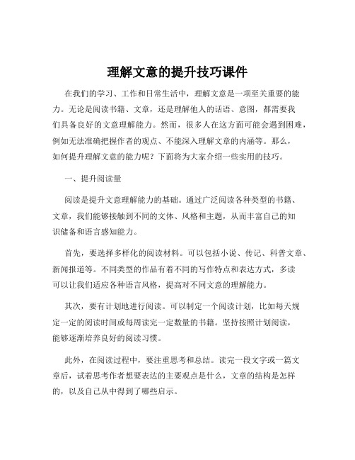 理解文意的提升技巧课件