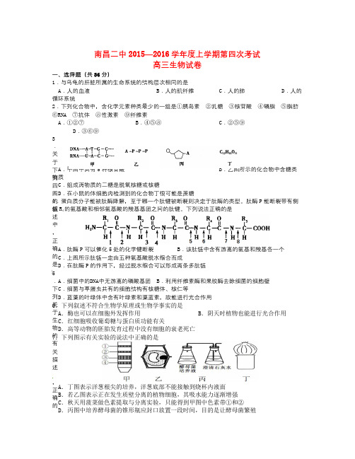 江西省南昌市届高三生物上学期第四次考试试题