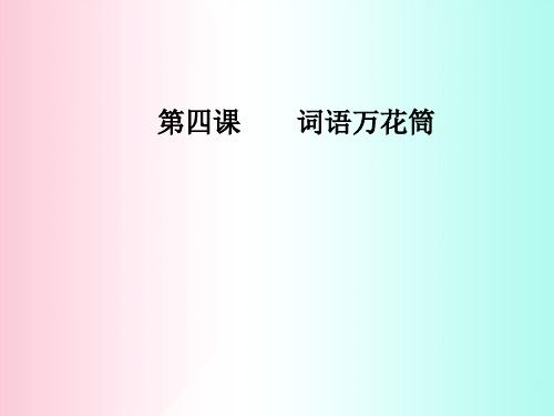 词语万花筒ppt6(8份打包) 人教课标版