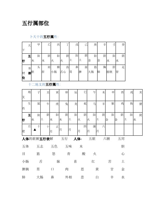 天干地支的五行属性与身体部位对应表