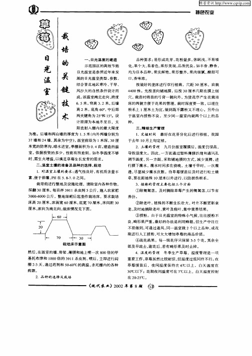 草莓日光温室栽培的关键技术