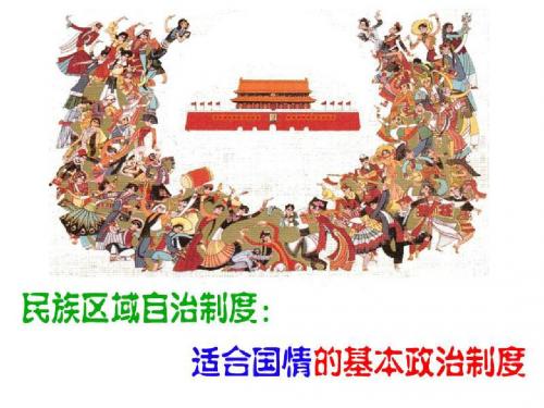 民族区域自治制度：适合国情的基本政治制度