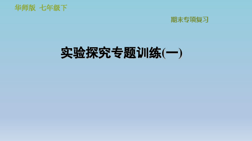 2020春华师版七年级科学下册  实验探究专题训练(1)