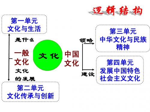 二轮复习文化生活专题11