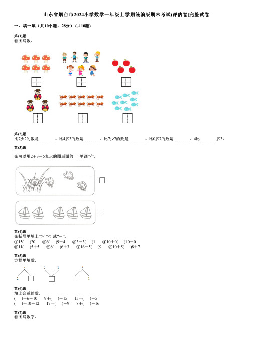 山东省烟台市2024小学数学一年级上学期统编版期末考试(评估卷)完整试卷