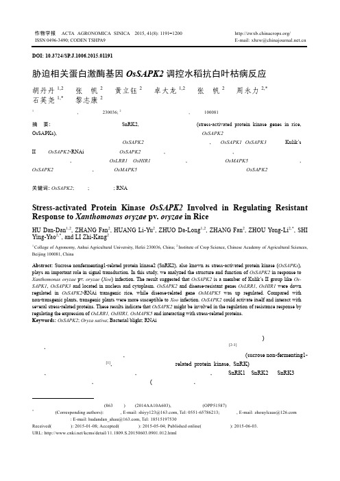 胁迫相关蛋白激酶基因OsSAPK2调控水稻抗白叶枯病反应