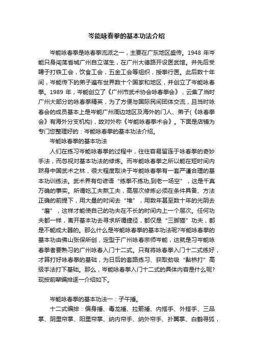 岑能咏春拳的基本功法介绍