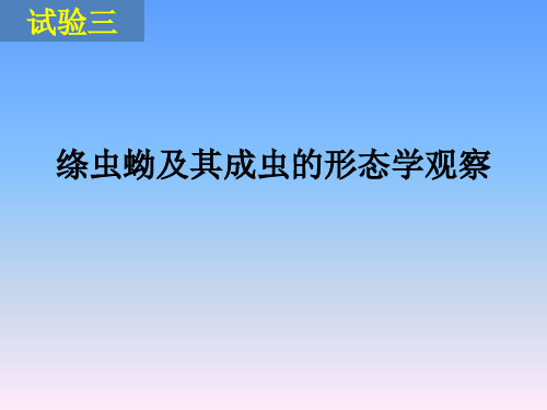 第八章  实验三  绦虫蚴及其成虫的形态学观察1