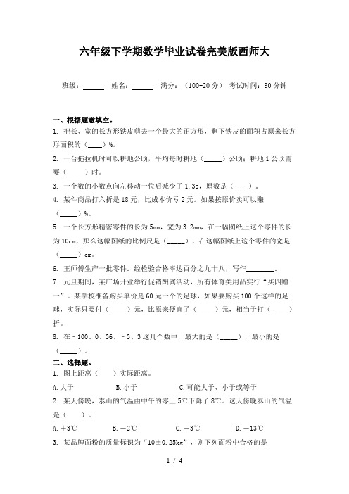 六年级下学期数学毕业试卷完美版西师大