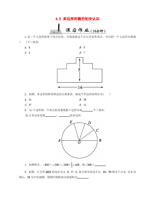 七年级数学上册 4.5 多边形和圆的初步认识课时作业 (新版)北师大版