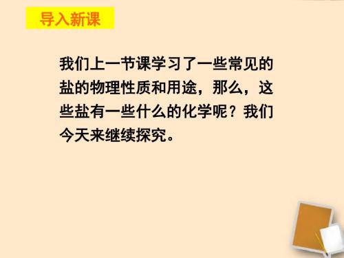 人教版九年级下册11.1生活中常见的盐(2) (共21张PPT)