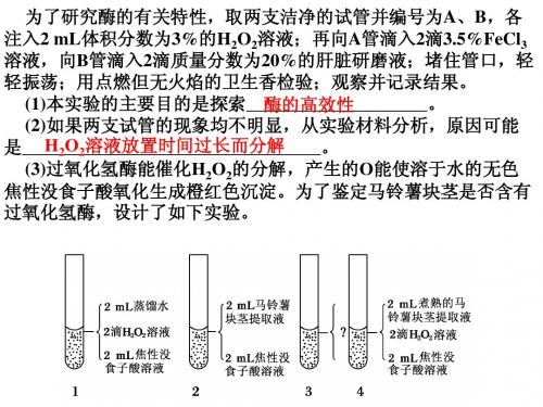 细胞呼吸(第一课时)