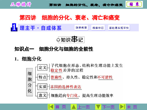 细胞的分化衰老凋亡和癌变详解精品PPT课件