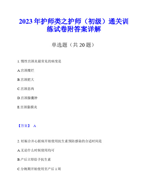 2023年护师类之护师(初级)通关训练试卷附答案详解