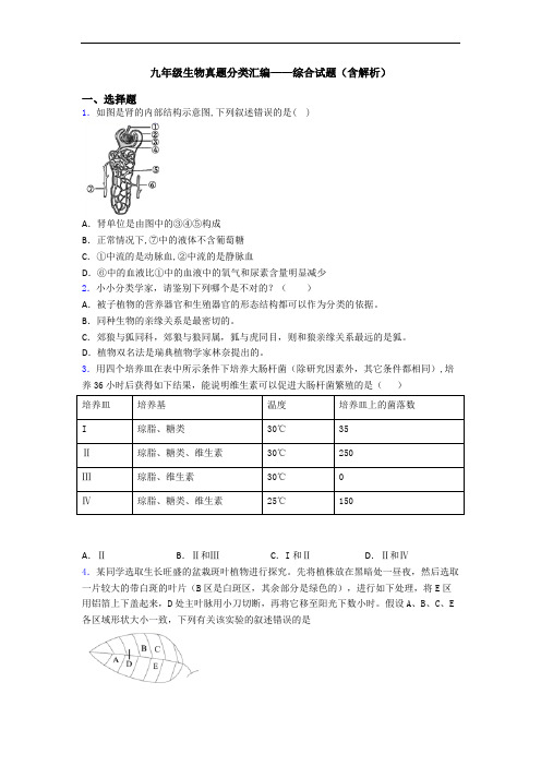 九年级生物真题分类汇编——综合试题(含解析)