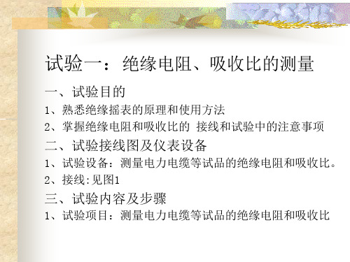 试验一  绝缘电阻、吸收比的测量