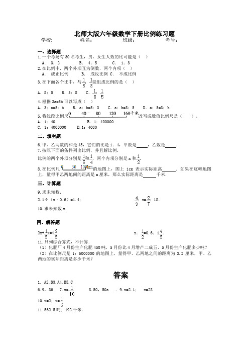 北师大版六年级数学下册比例练习题