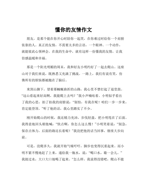 懂你的友情作文