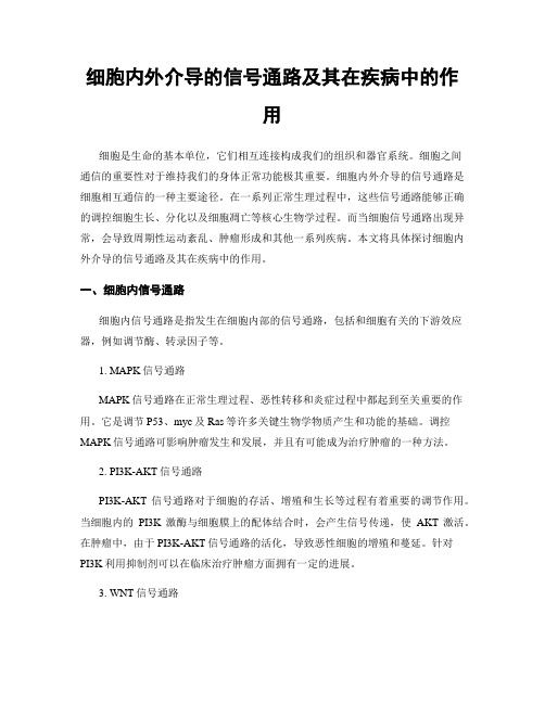 细胞内外介导的信号通路及其在疾病中的作用