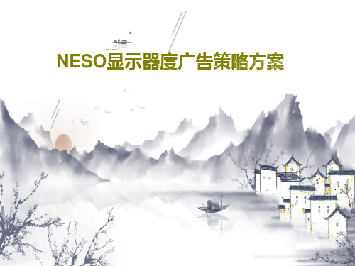 NESO显示器度广告策略方案共108页