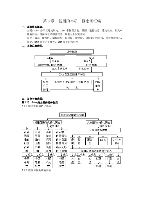 第3章基因的本质概念图汇编